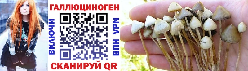 Галлюциногенные грибы мицелий  наркотики  OMG как зайти  Анапа 