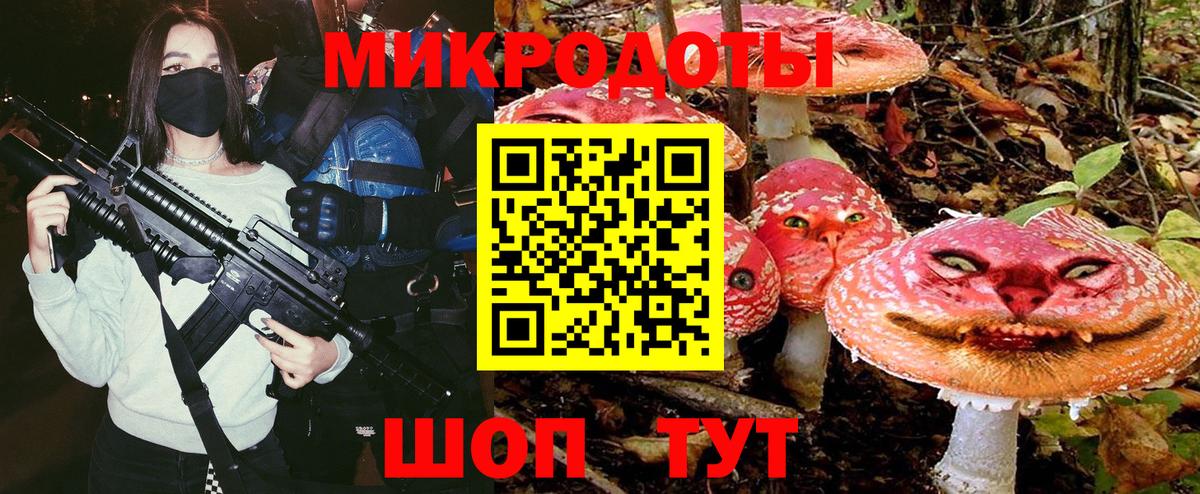 Галлюциногенные грибы Psilocybine cubensis Анапа